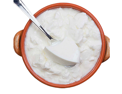 Yoghurt Manufacturing Production Process